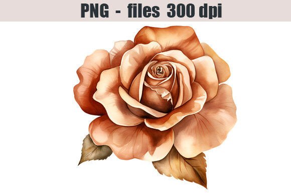 Download Bronze Rose Watercolor Clipart Graphic - Premium Bundle